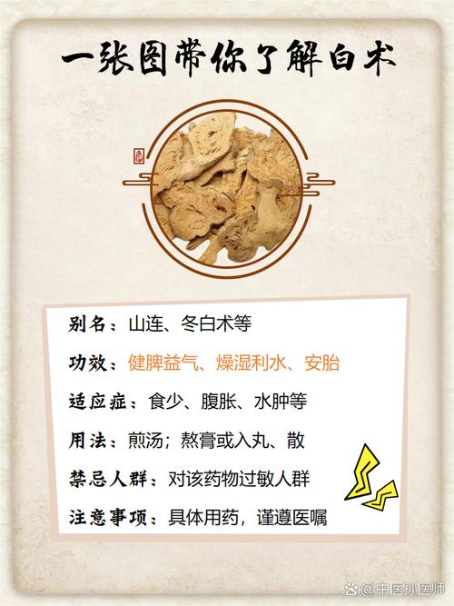 白术有什么副作用