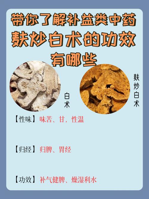 白术有什么副作用