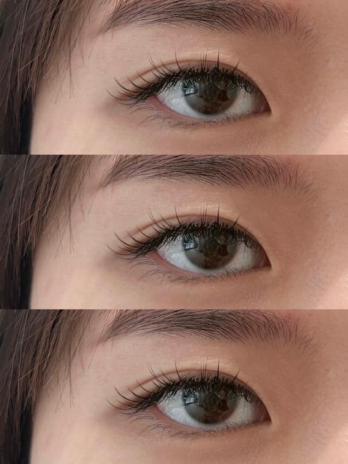 为什么没有下睫毛