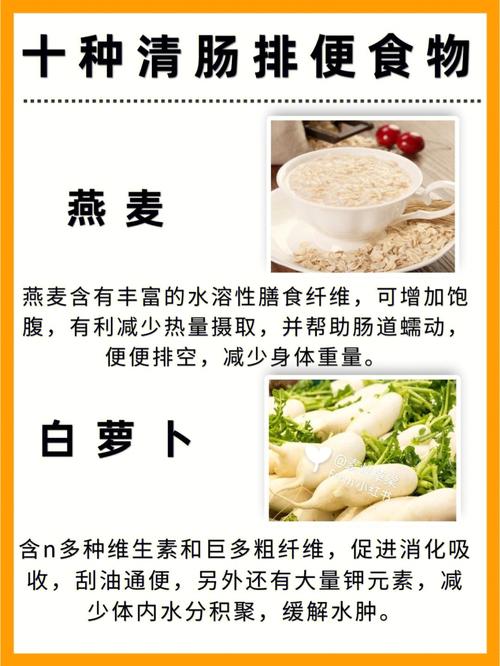 吃什么对排便好