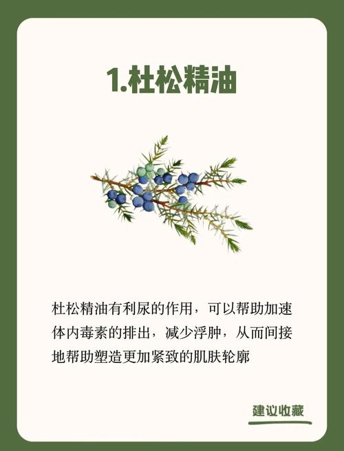 精油为什么能减肥