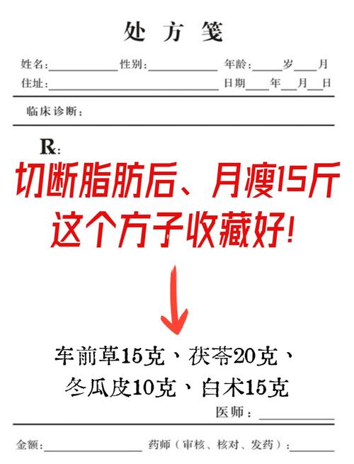 减肥吃什么中药方子