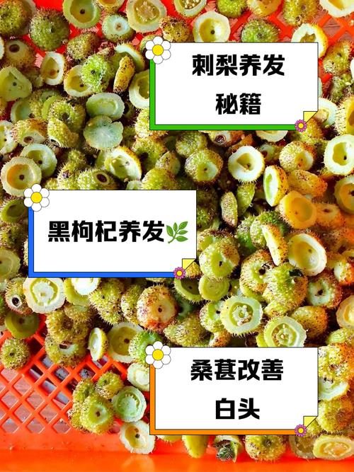 吃什么使头发变黑