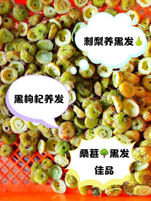 吃什么使头发变黑