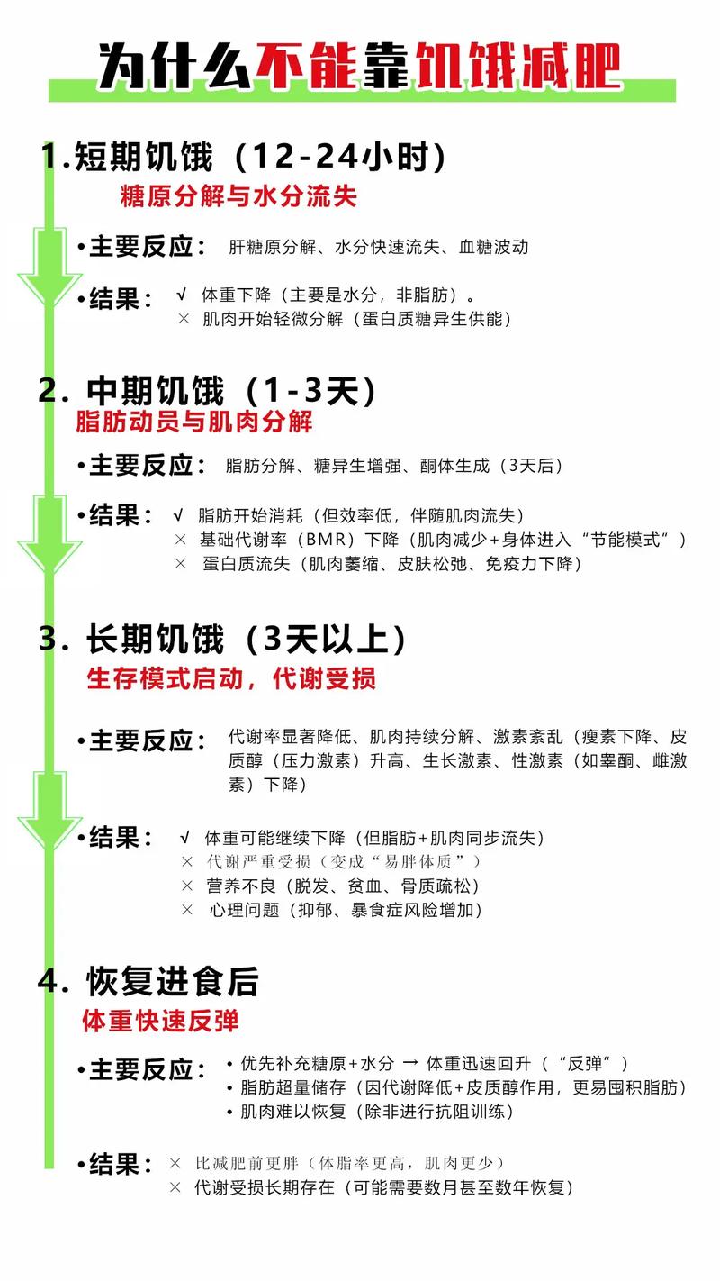 为什么减肥期间不能饿着自己