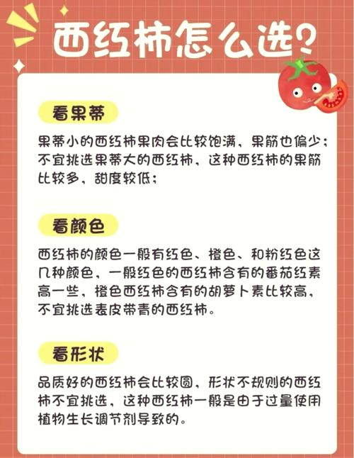 为什么吃西红柿减肥效果好