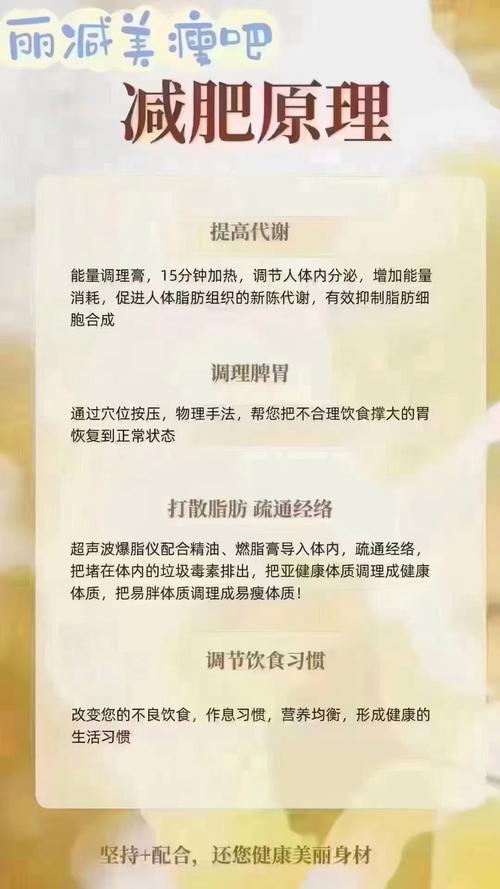 减肥靠的是什么