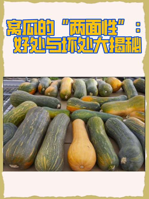 吃窝瓜有什么好处