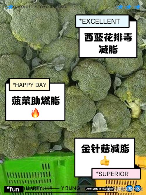 什么菜减肥可以吃吗