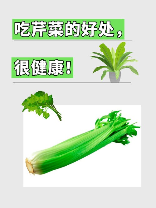 芹菜什么时候吃能减肥