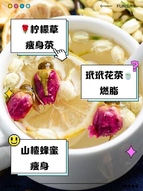 泡什么东西喝能减肥