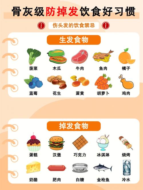 掉头发吃什么比较好