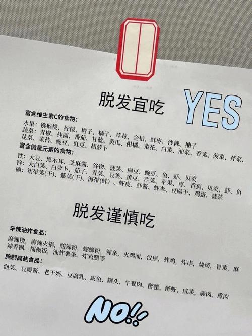 掉头发吃什么比较好