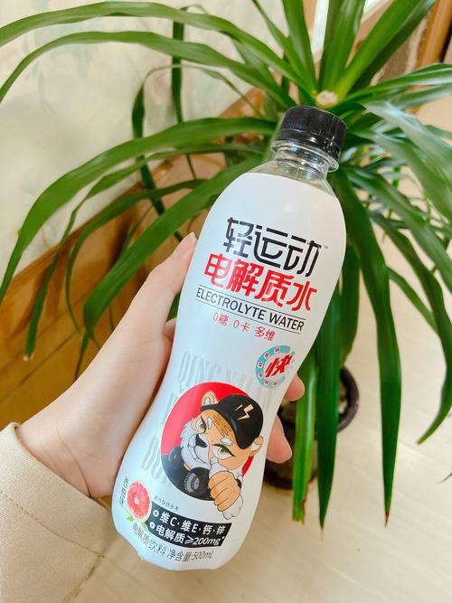 减肥运动喝什么牌子好