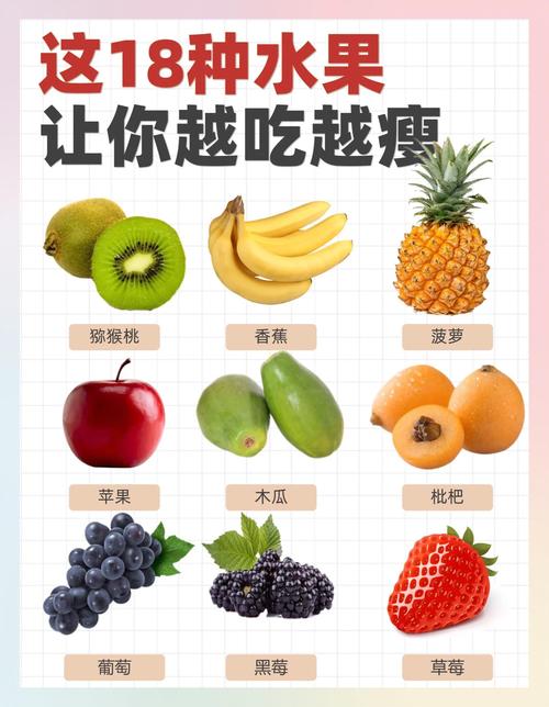 减肥每天吃什么水果好