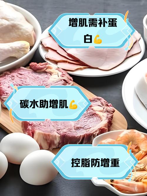 吃什么肉长肉
