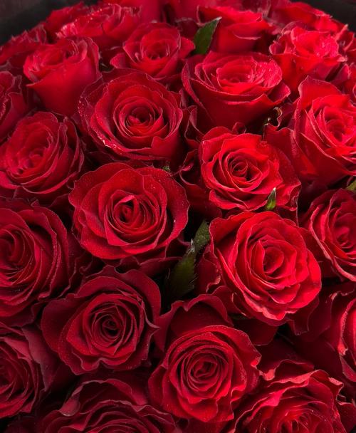 什么花好看又浪漫