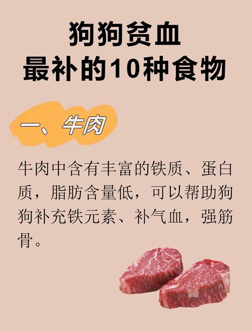 什么食物补血效果好