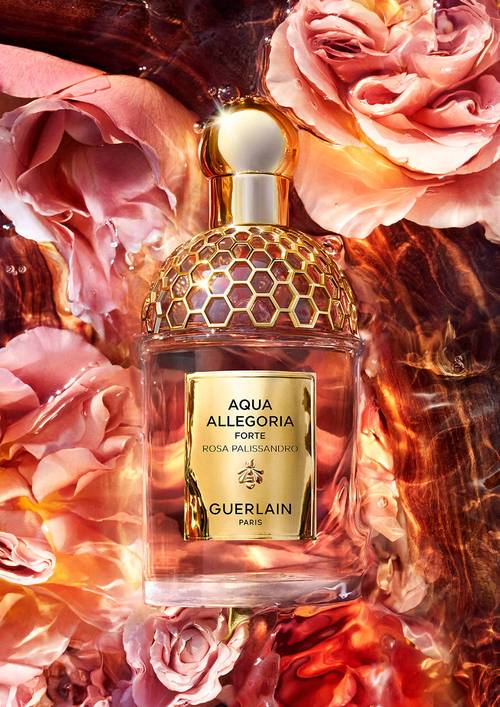 娇兰最新出的香水