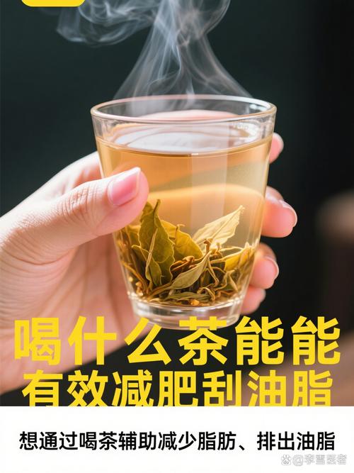 夏天男士喝什么茶减肥