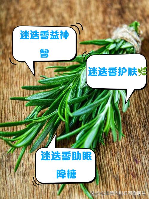 迷迭香有什么功效