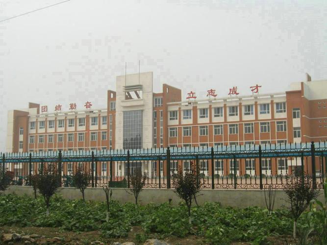 武清区黄庄最新视频