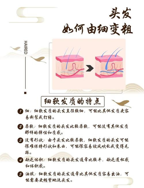 头发变细是什么原因