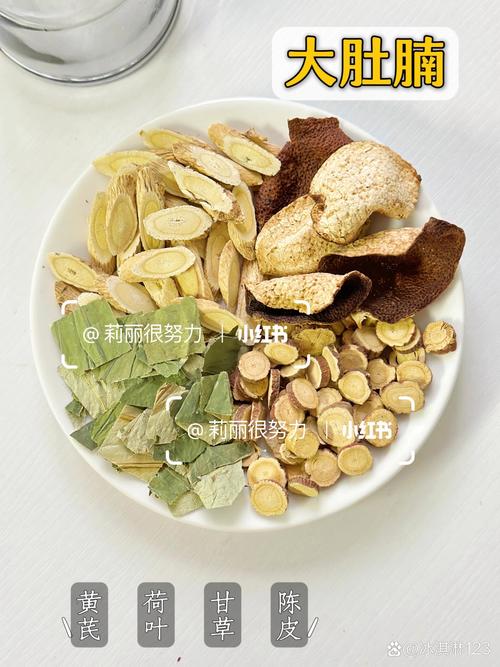 游泳过后吃什么减肥食谱