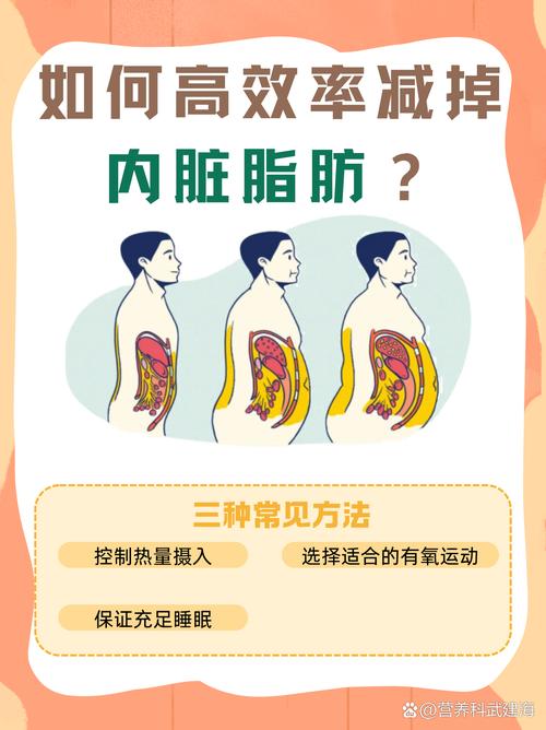 什么东西分解脂肪