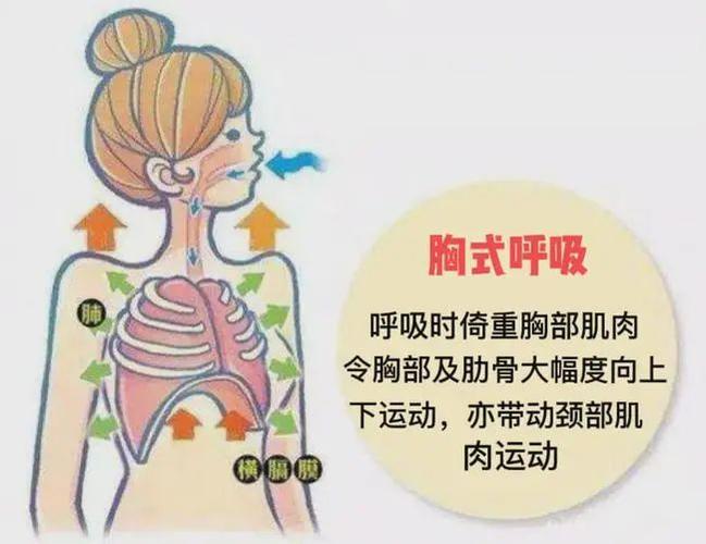 什么是胸式呼吸