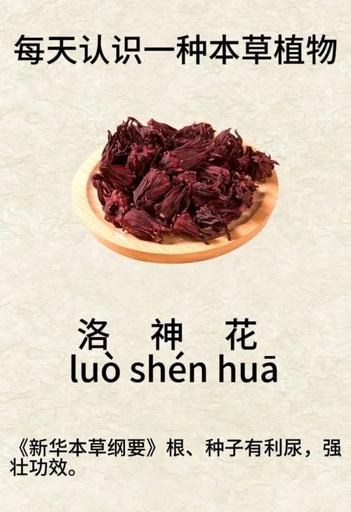 洛神花什么味道