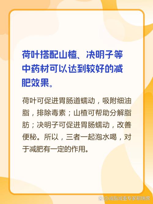 为什么荷叶能减肥瘦身