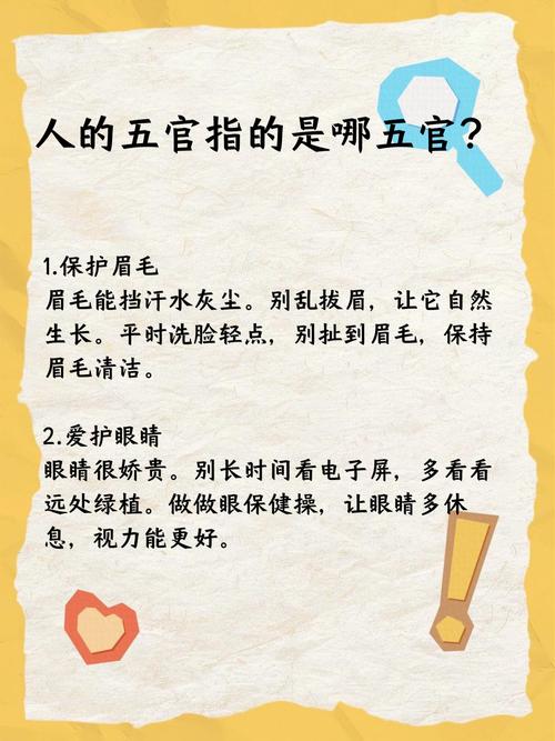 五官什么时候定型