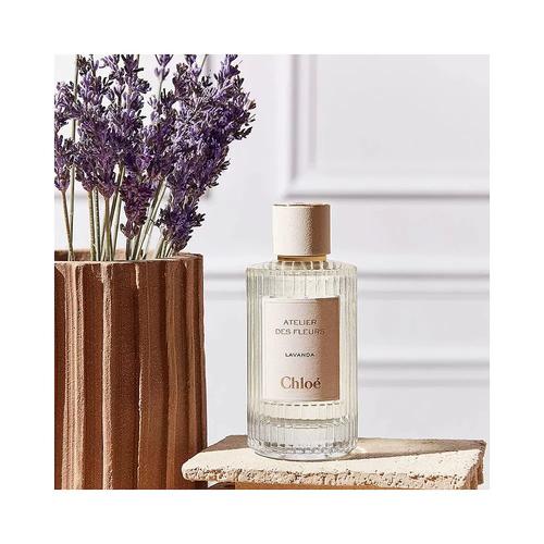 蔻依最新款香水