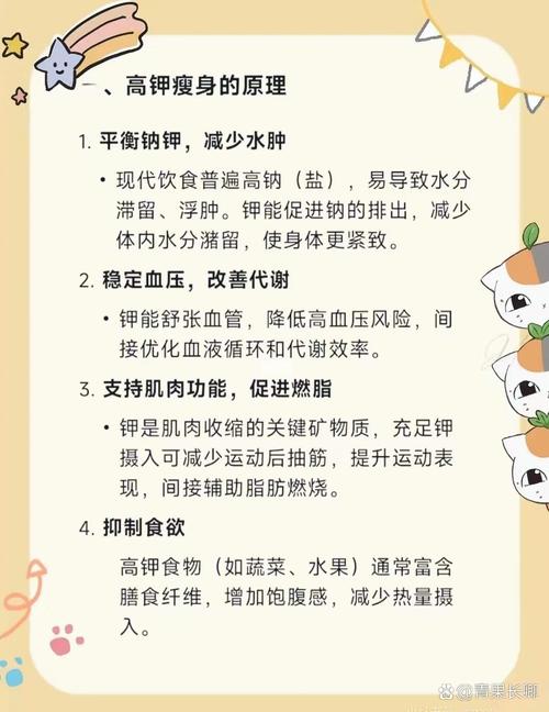 水肿虚胖吃什么减肥