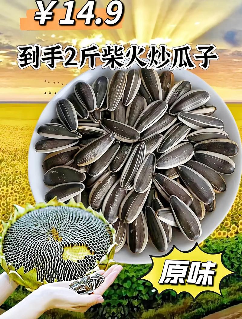 减肥期间能吃什么瓜子