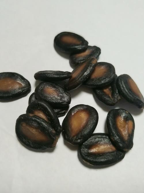 减肥期间能吃什么瓜子