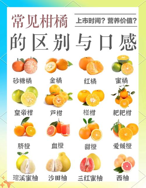 橘子有什么功效和作用