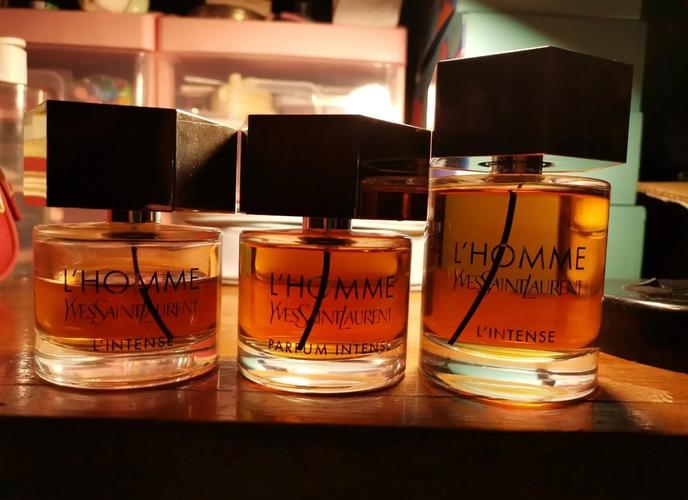 ysl天之骄子最新款