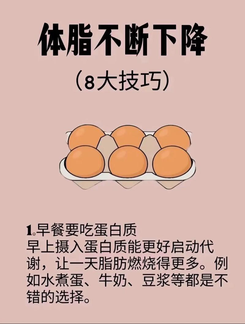 脂肪顽固的有什么办法可以减肥