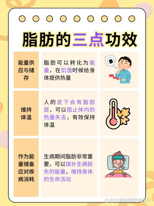 脂肪顽固的有什么办法可以减肥