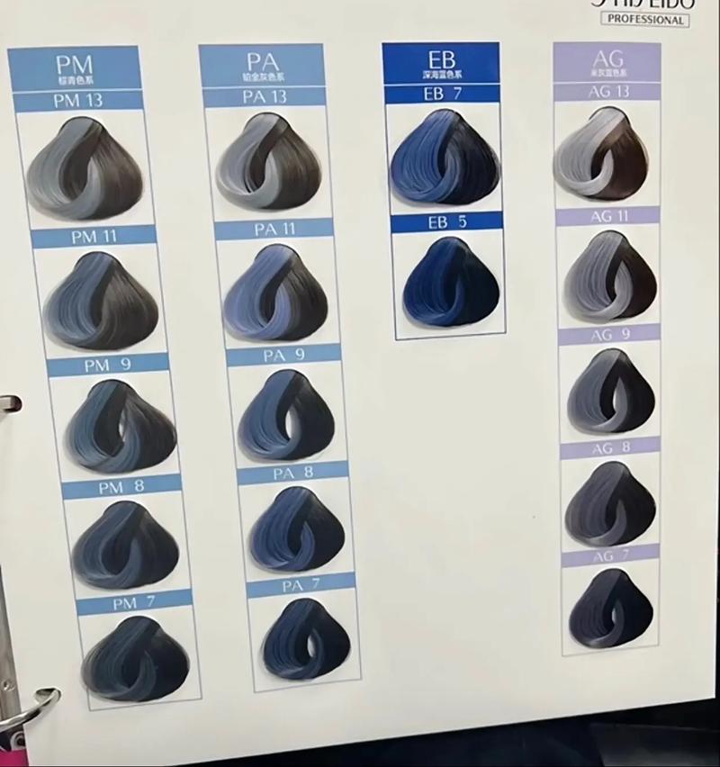 资生堂最新染膏色号