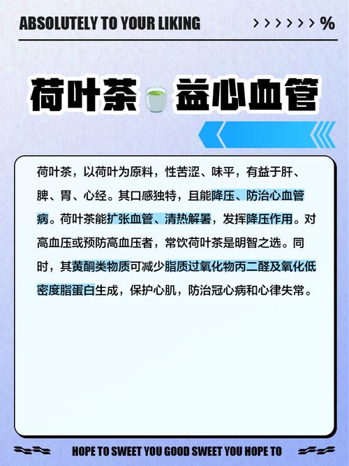 荷叶茶什么时候喝