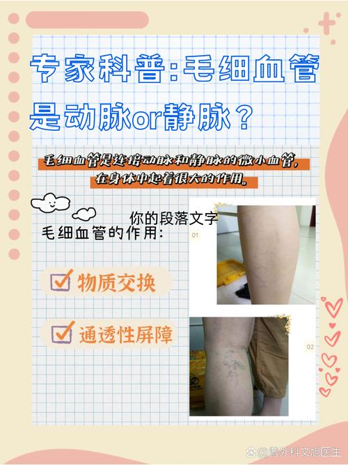 什么叫毛细血管