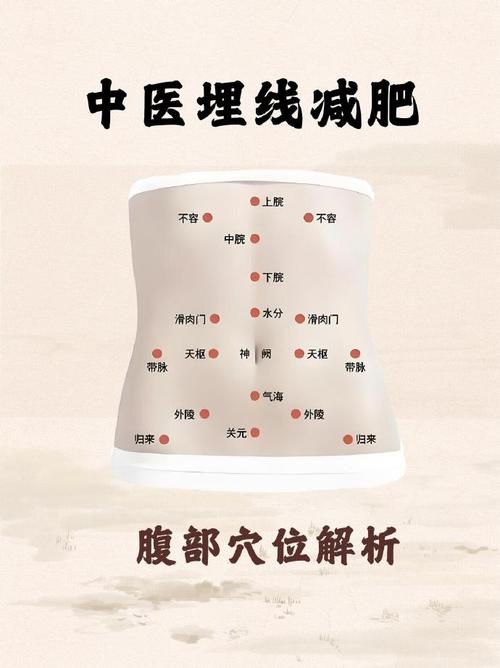 艾灸腹部减肥灸什么穴位