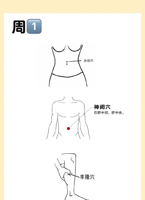 艾灸腹部减肥灸什么穴位