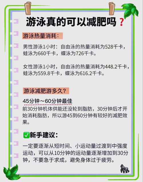 为什么游泳不能减肥