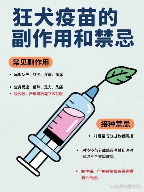 打狂犬疫苗忌什么