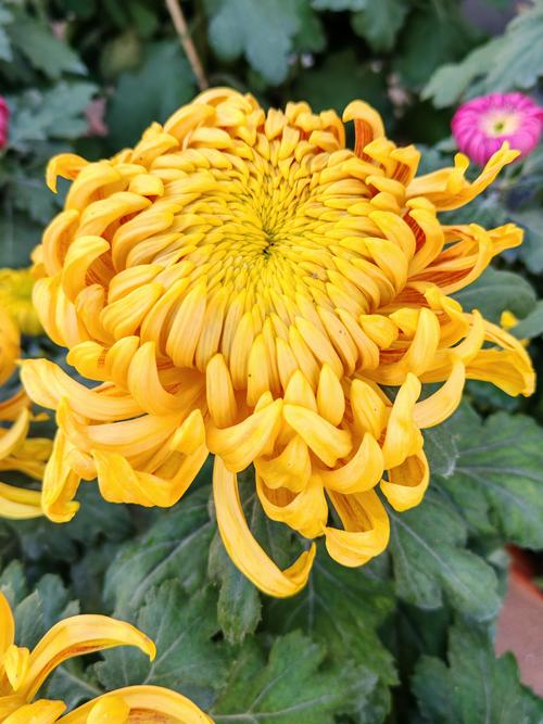 秋季晚上吃什么