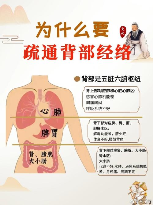 背部有什么经络